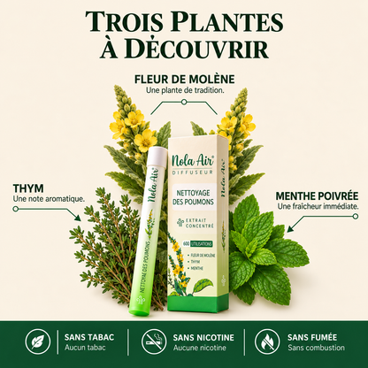 Nola Air™ : l’inhalateur à la molène pour votre confort respiratoire NolaAir